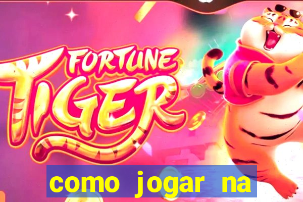 como jogar na teimosinha da lotofacil